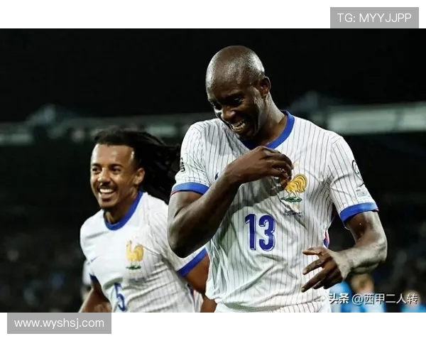 法国客场2-2战平冰岛 恩昆库马特塔破门 赫林松救主